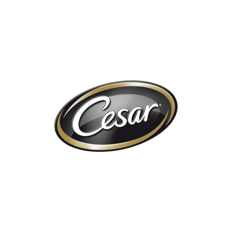 Cesar