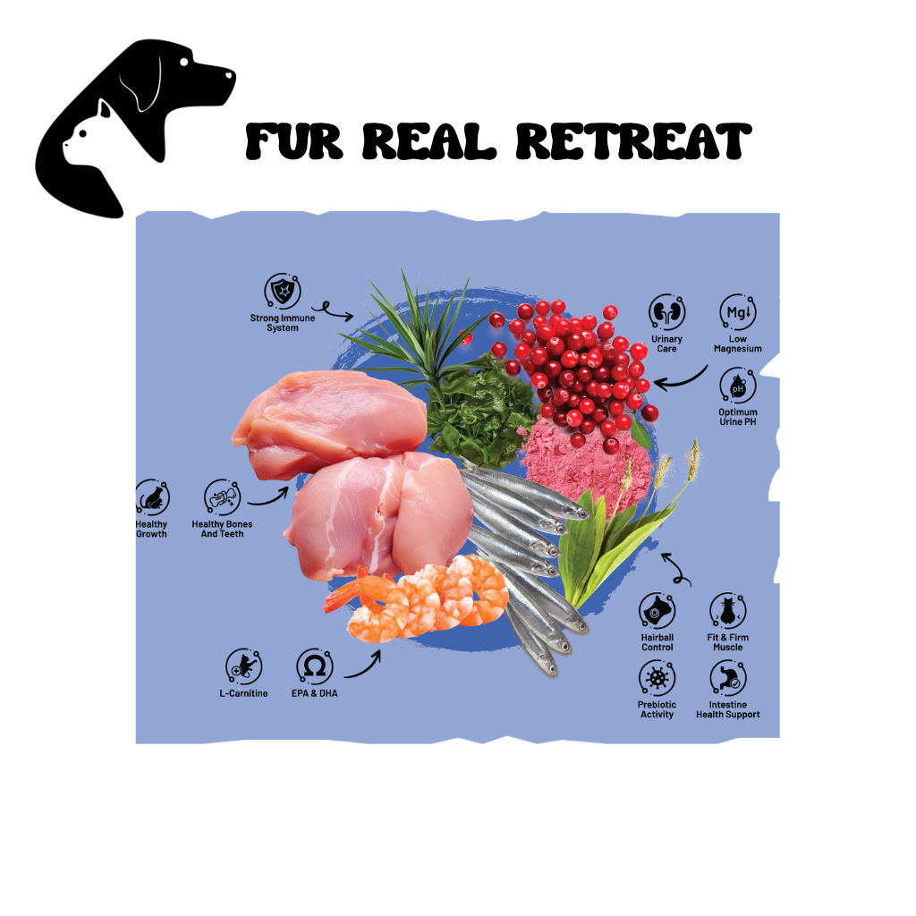 Fur Real SARAR Cat Food Hairball Indoor with Chicken & Anchovy 15KG